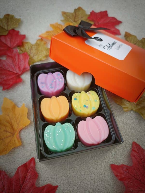 The Autumn Wax Melt Collection - Image 2
